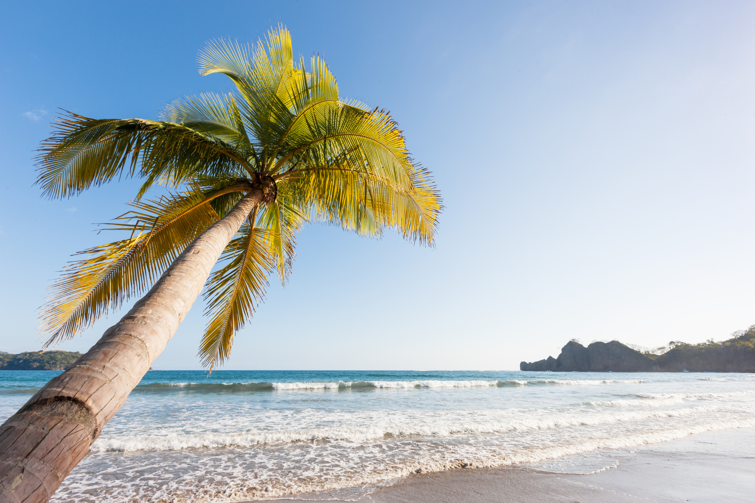 tamarindo (3).webp